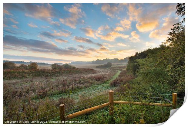 Misty morning Berkshire Print by Giles Rocholl