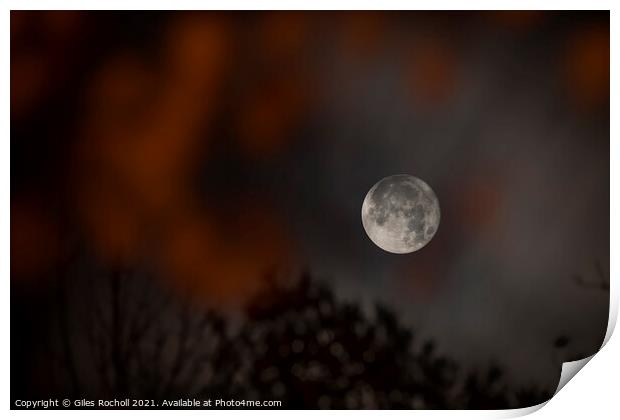Full moon Astrophotography Print by Giles Rocholl