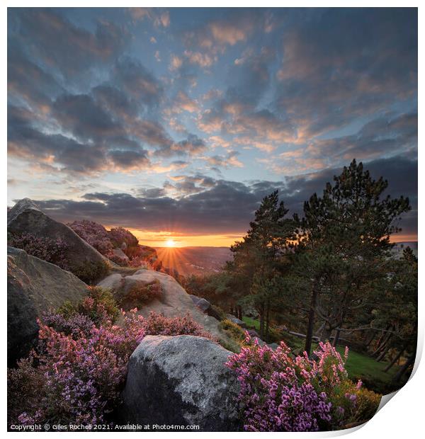 Ilkley Moor sunset and heather Yorkshire Print by Giles Rocholl