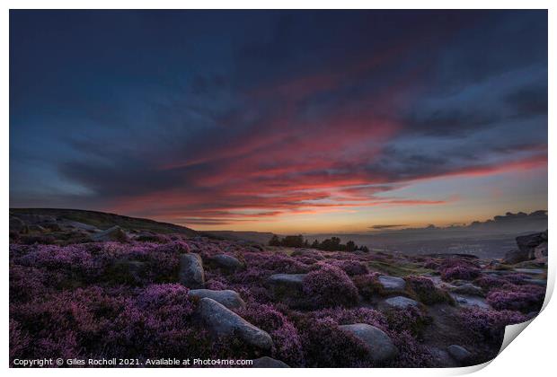 Ilkley Moor sunset and heather Yorkshire Print by Giles Rocholl