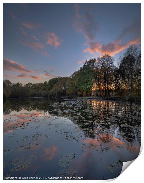 Golden Acre Park Yorkshire Print by Giles Rocholl
