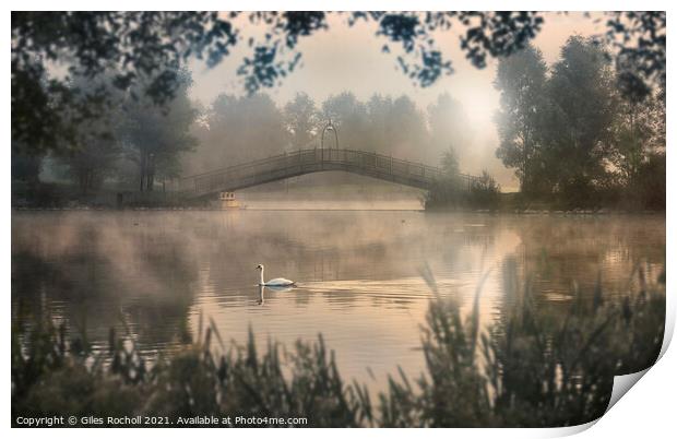 Swan lake Yorkshire Print by Giles Rocholl