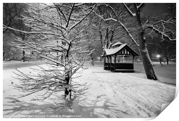 Snow the Stray Harrogate Print by Giles Rocholl