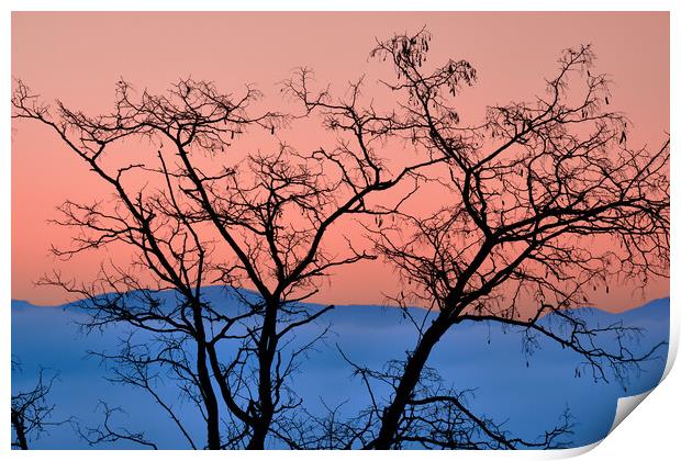 Nature's palette, pink and blue Print by Dimitrios Paterakis