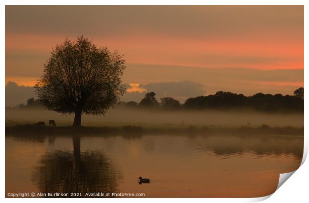 sunrise with mist with a tree and lake Print by Alan Burlinson