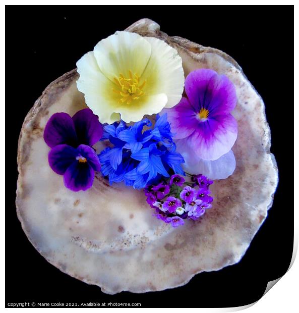Flowers in a shell Print by Marie Cooke