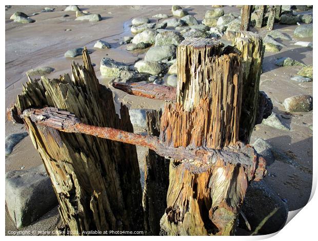 Rusty old groyne Print by Marie Cooke