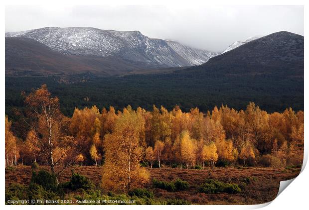 Golden Lairig Ghru - Cairngorm Mountains Print by Phil Banks