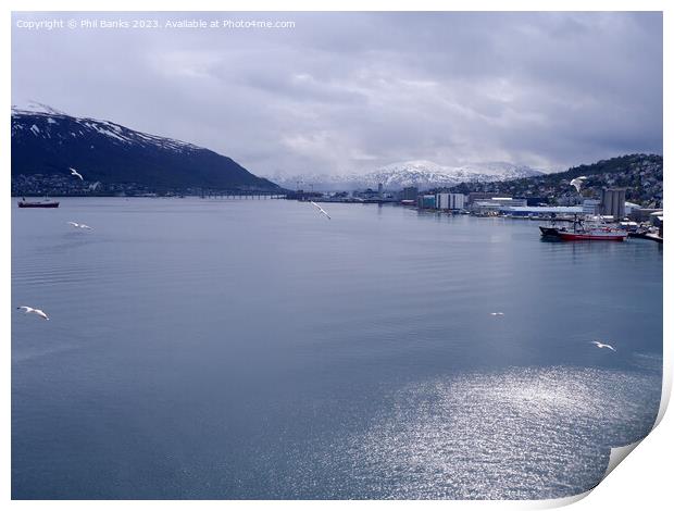 Tromso, Norway - A flash of sunlight Print by Phil Banks