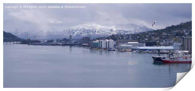 Tromso in Northern Norway on a bright day in early June Print by Phil Banks