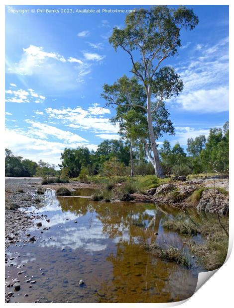 Finke River - Northern Territory, Australia Print by Phil Banks