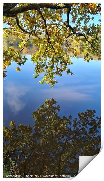 Reflection of Autumn Print by I Hibbert