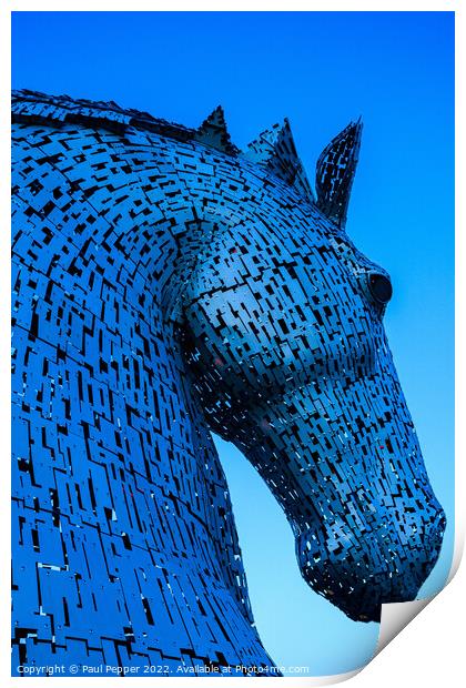 Kelpie  Print by Paul Pepper