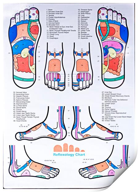 Reflexology chart Print by Raymond Evans