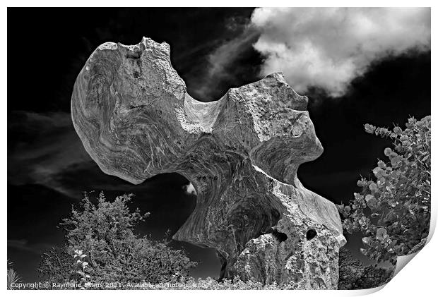 Unusual Rock 2 Print by Raymond Evans