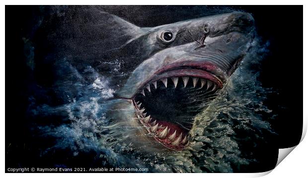 Great White shark Print by Raymond Evans