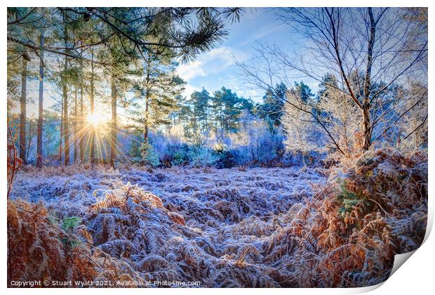 Moors Valley Print by Stuart Wyatt