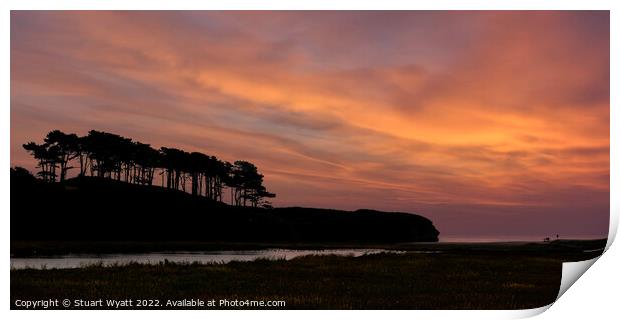 Sunset Tree Silhouette Print by Stuart Wyatt