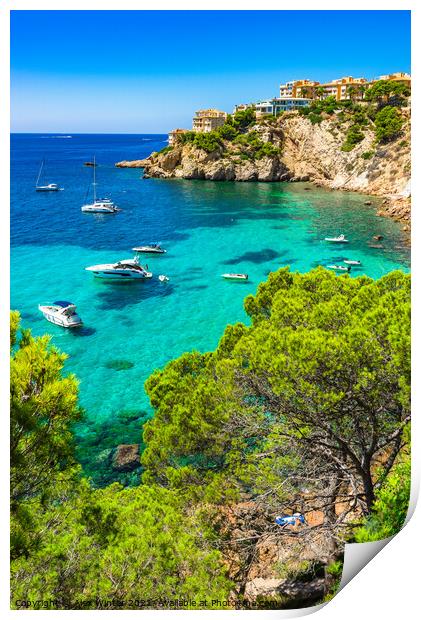 Santa Ponsa. Majestic Yachts at Costa de la Calma Print by Alex Winter