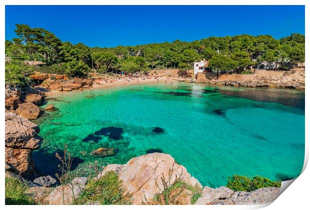 Paradise Found, Cala gat beach Print by Alex Winter