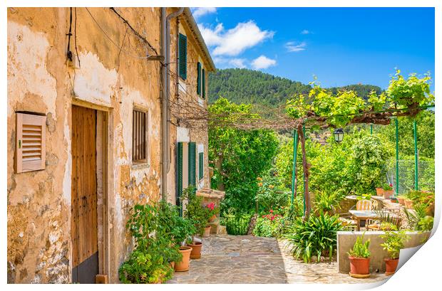 Rustic mediterranean houses with beautiful front yard and potted flowers Print by Alex Winter