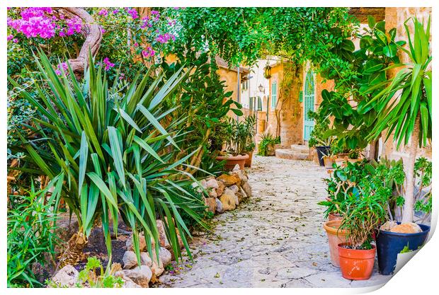 Mediterranean house with beautiful flower pots and potted plants garden Print by Alex Winter