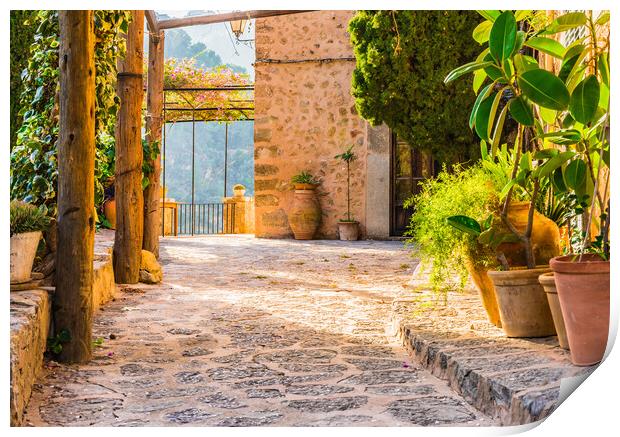 Mediterranean terrace with beautiful potted plants and idyllic sunset light Print by Alex Winter
