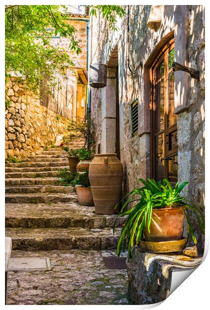 Mediterranean house with potted plant decoration Print by Alex Winter