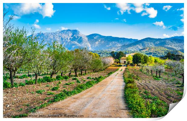 Spring day with idyllic scenery  Print by Alex Winter