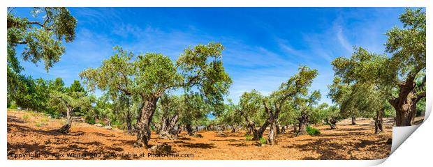 Plant tree, Bountiful Harvest Print by Alex Winter