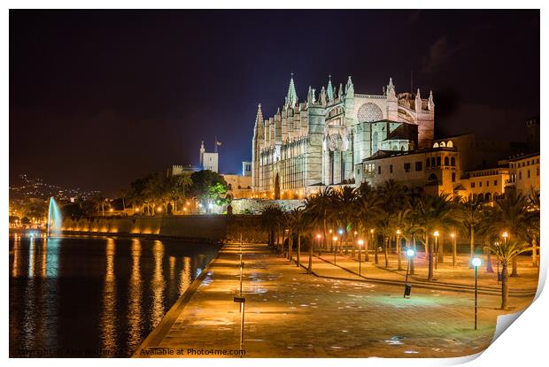 Cathedral La Seu and Parc de la mar at night Print by Alex Winter