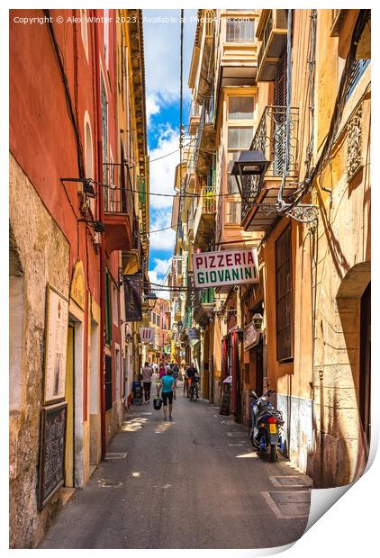 Historic city center of Palma de Majorca Print by Alex Winter