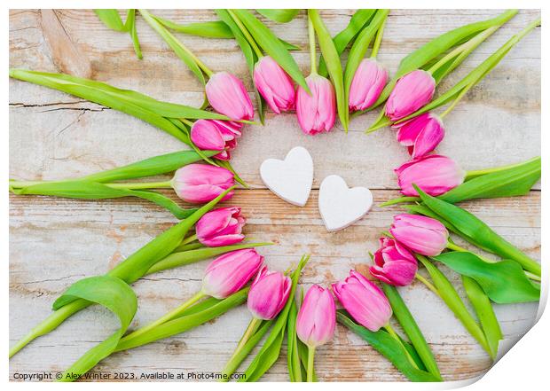 pink flower heart  Print by Alex Winter