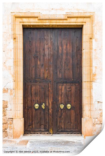 Brown wooden door of elegant old Villa house Print by Alex Winter