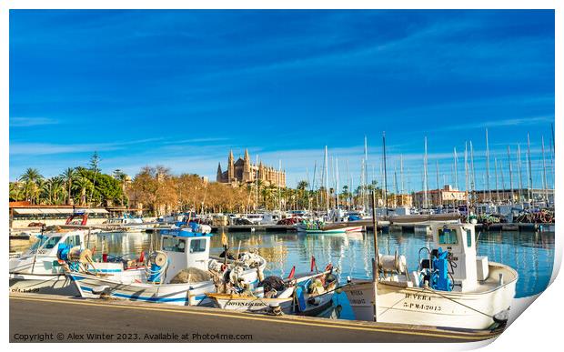 Fishing harbor port of Palma de Majorca Print by Alex Winter