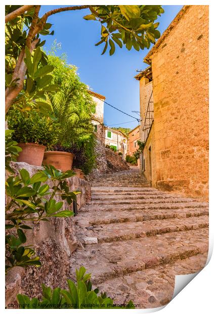 Beautiful street in Fornalutx village on Mallorca Print by Alex Winter
