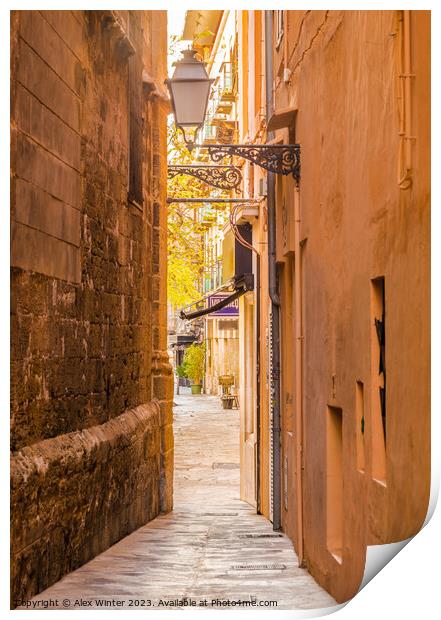 View of a narrow alley at the old town of Palma Print by Alex Winter