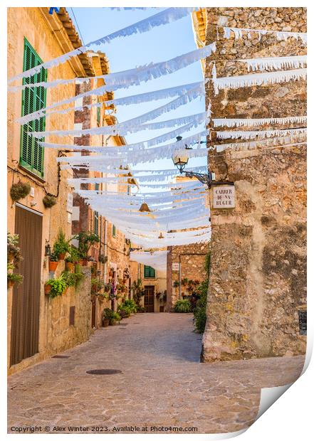 Alley in old mediterranean village of Valldemossa Print by Alex Winter
