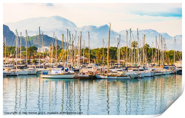 View at the marina of Port de Pollensa on Mallorca Print by Alex Winter