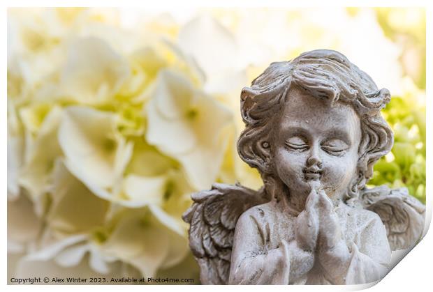 Praying angel Print by Alex Winter
