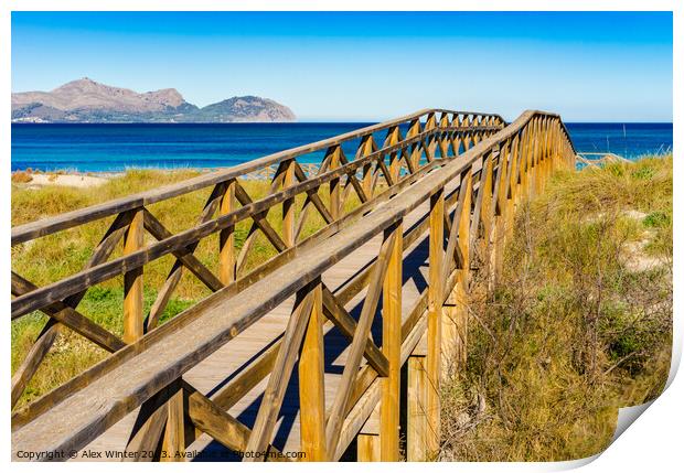 Wooden footbridge over sand dunes Print by Alex Winter