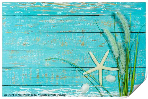 Starfish and reed decoration Print by Alex Winter
