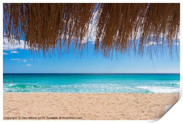 Beautiful sand beach sun, blue sky and straw umbre Print by Alex Winter