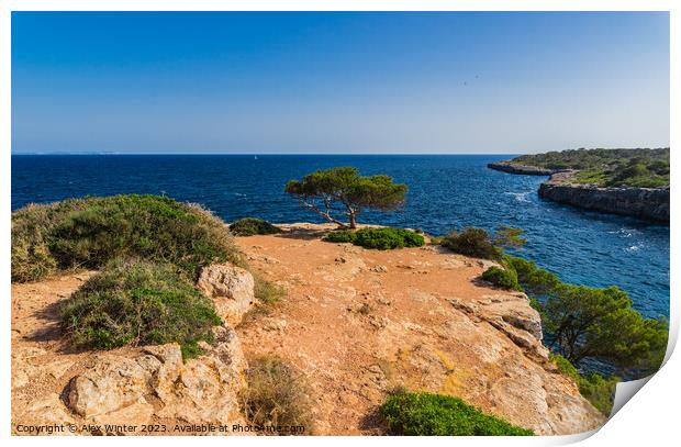 Coastline on Mallorca Print by Alex Winter