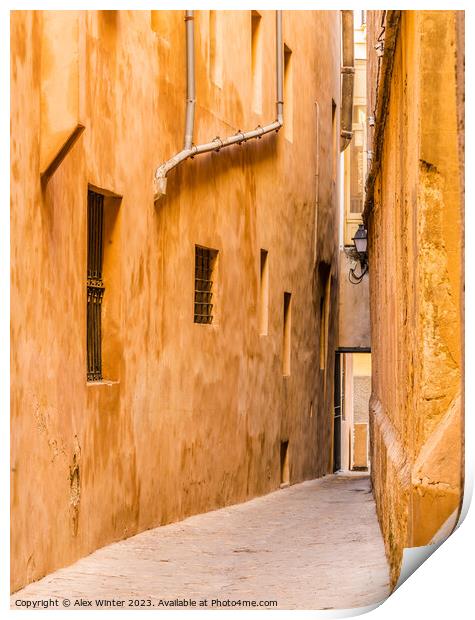 Historic city center of Palma de Mallorca Print by Alex Winter