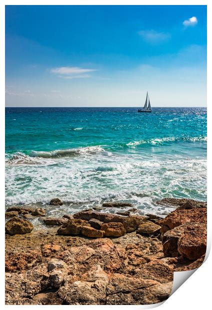 Idyllic view of sailing yacht  Print by Alex Winter