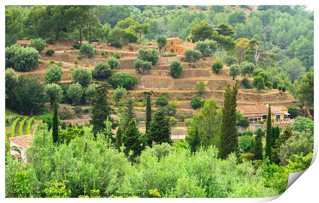 View of mediterranean terraced mountain landscape Print by Alex Winter