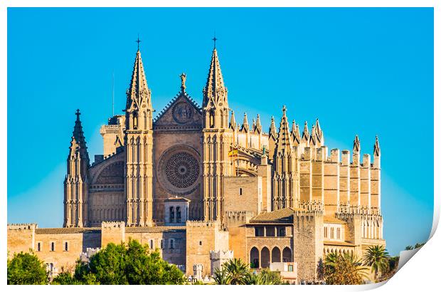 Cathedral of Palma de Majorca Print by Alex Winter