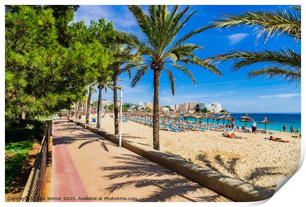 Sand beach with palm tree pormenade in Magaluf on Mallorca Print by Alex Winter