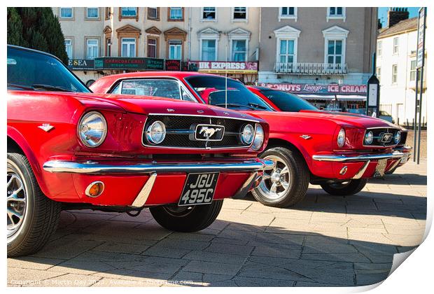 Mustang Twins Print by Martin Day